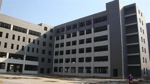 陽谷縣廠房驗廠安全檢測鑒定機構助力市政工程高質量發展